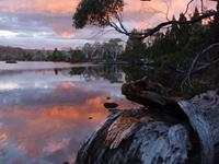 Sunset, Overland Track